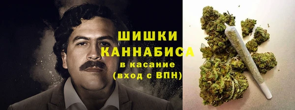 spice Аркадак