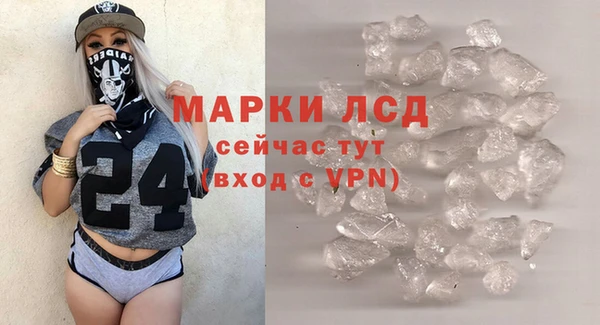 spice Аркадак