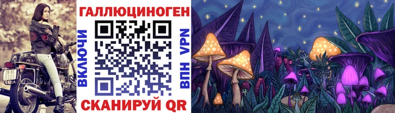 Галлюциногенные грибы Magic Shrooms  Ртищево 